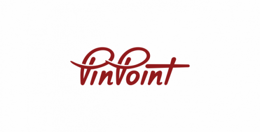 Pin Point, pins, bookmarks, favorites, links, saves, handwritten logotype design by utopia branding agency