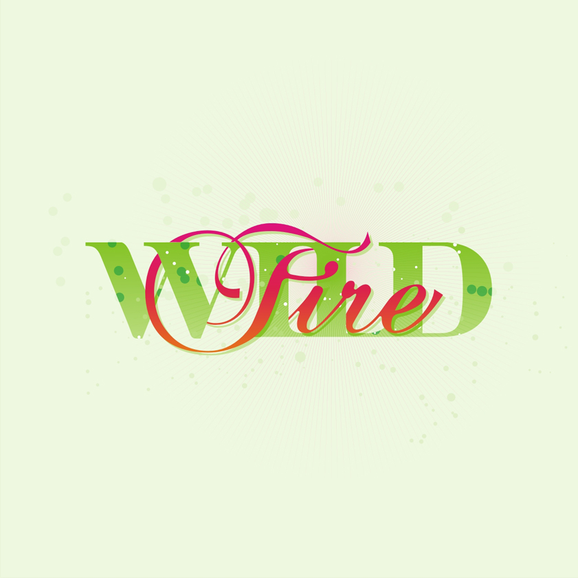 Wild Fire rebranding: logo redesign, label redesign, packaging redesign, design by Utopia