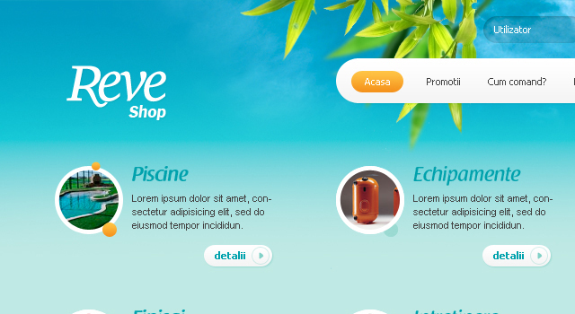 Web design (layout and implementation) for an online shop selling pools, sauna, spa and accessories